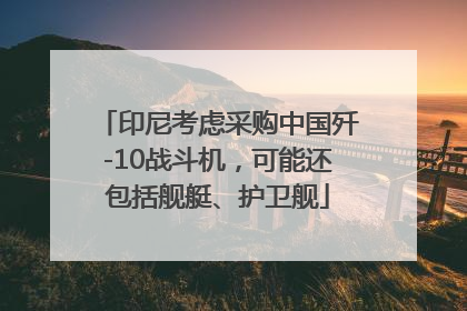 印尼考虑采购中国歼-10战斗机，可能还包括舰艇、护卫舰
