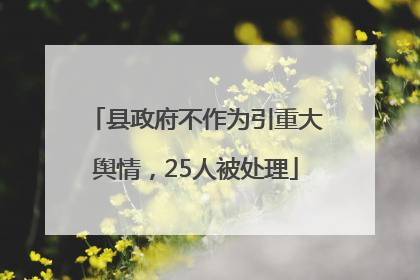 县政府不作为引重大舆情，25人被处理