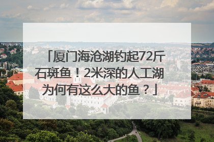 厦门海沧湖钓起72斤石斑鱼！2米深的人工湖为何有这么大的鱼？