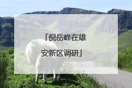 倪岳峰在雄安新区调研