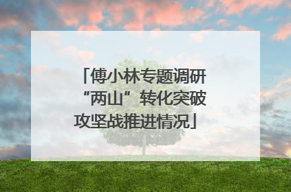 傅小林专题调研“两山”转化突破攻坚战推进情况