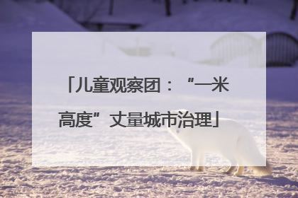 儿童观察团：“一米高度”丈量城市治理