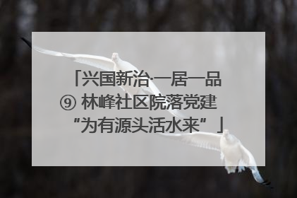 兴国新治·一居一品⑨ 林峰社区院落党建“为有源头活水来”