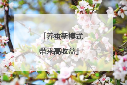 养蚕新模式带来高收益