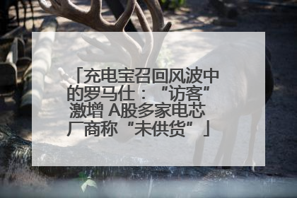充电宝召回风波中的罗马仕：“访客”激增 A股多家电芯厂商称“未供货”