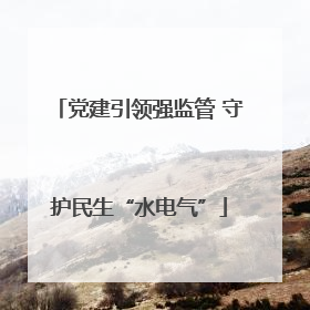 党建引领强监管 守护民生“水电气”
