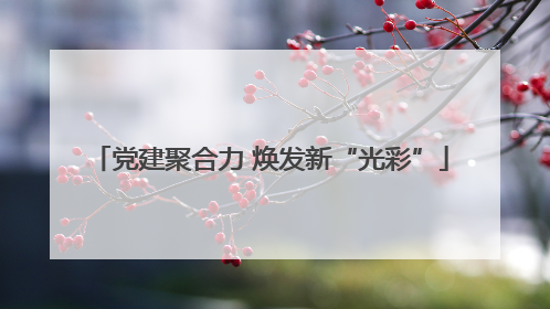 党建聚合力 焕发新“光彩”
