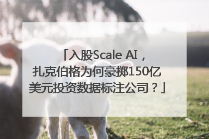 入股Scale AI，扎克伯格为何豪掷150亿美元投资数据标注公司？