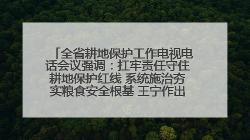 全省耕地保护工作电视电话会议强调：扛牢责任守住耕地保护红线 系统施治夯实粮食安全根基 王宁作出批示 王予波出席并讲话