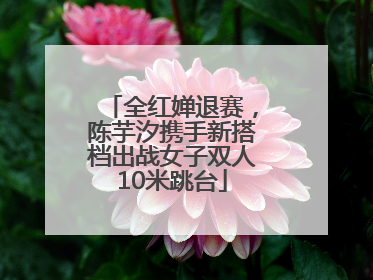 全红婵退赛，陈芋汐携手新搭档出战女子双人10米跳台