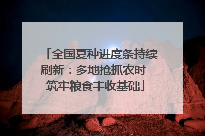 全国夏种进度条持续刷新：多地抢抓农时 筑牢粮食丰收基础