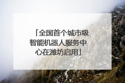 全国首个城市级智能机器人服务中心在潍坊启用