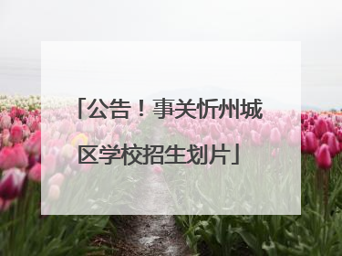 公告！事关忻州城区学校招生划片