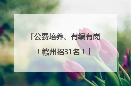 公费培养、有编有岗！赣州招31名！