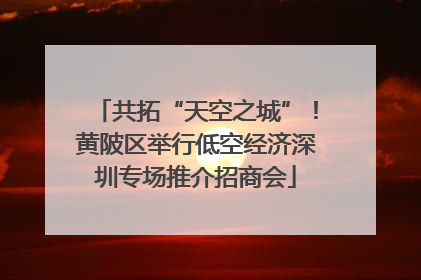 共拓“天空之城”！黄陂区举行低空经济深圳专场推介招商会