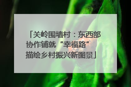 关岭围墙村：东西部协作铺就“幸福路” 描绘乡村振兴新图景