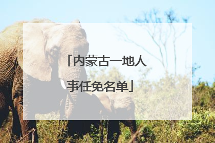 内蒙古一地人事任免名单