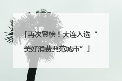 再次登榜！大连入选“美好消费典范城市”