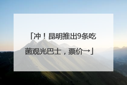 冲！昆明推出9条吃菌观光巴士，票价→