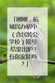 刚刚，杭城民办初中（含民转公学校）摇号结果出炉！有你家娃吗？