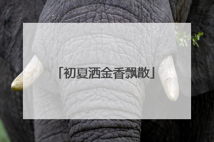 初夏洒金香飘散
