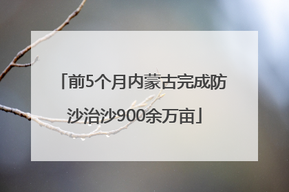前5个月内蒙古完成防沙治沙900余万亩
