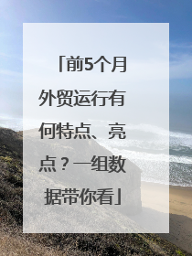 前5个月外贸运行有何特点、亮点？一组数据带你看