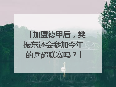 加盟德甲后，樊振东还会参加今年的乒超联赛吗？