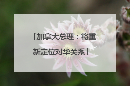 加拿大总理：将重新定位对华关系