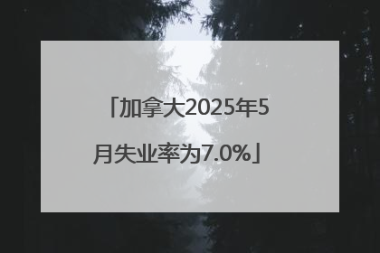 加拿大2025年5月失业率为7.0%