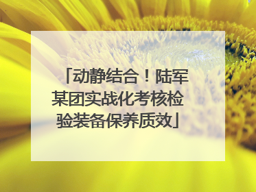 动静结合！陆军某团实战化考核检验装备保养质效