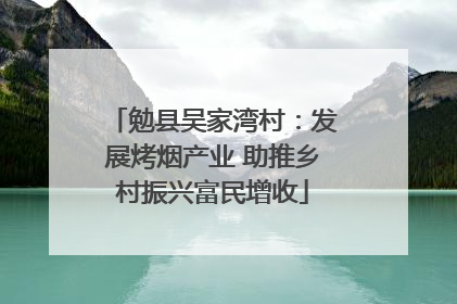 勉县吴家湾村：发展烤烟产业 助推乡村振兴富民增收