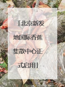 北京新发地国际香蕉集散中心正式启用