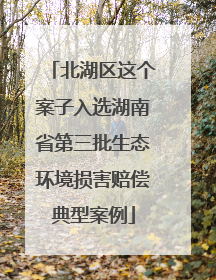 北湖区这个案子入选湖南省第三批生态环境损害赔偿典型案例