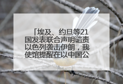 埃及、约旦等21国发表联合声明谴责以色列袭击伊朗，我使馆提醒在以中国公民尽快陆路离境