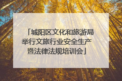 城阳区文化和旅游局举行文旅行业安全生产暨法律法规培训会