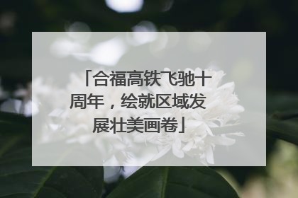 合福高铁飞驰十周年，绘就区域发展壮美画卷