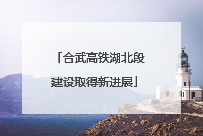 合武高铁湖北段建设取得新进展