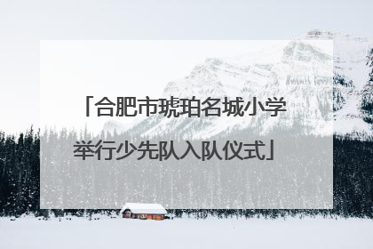 合肥市琥珀名城小学举行少先队入队仪式