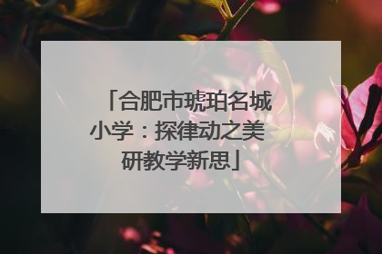 合肥市琥珀名城小学：探律动之美 研教学新思