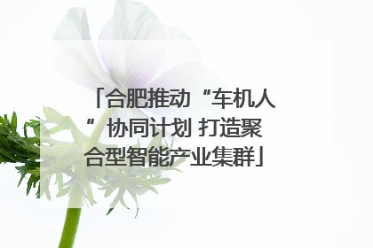 合肥推动“车机人”协同计划 打造聚合型智能产业集群