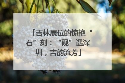 吉林展位的惊艳“石”刻：“砚”遇深圳，吉韵流芳