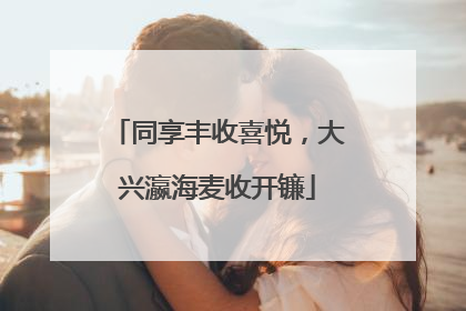 同享丰收喜悦，大兴瀛海麦收开镰