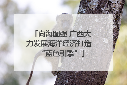 向海图强 广西大力发展海洋经济打造“蓝色引擎”