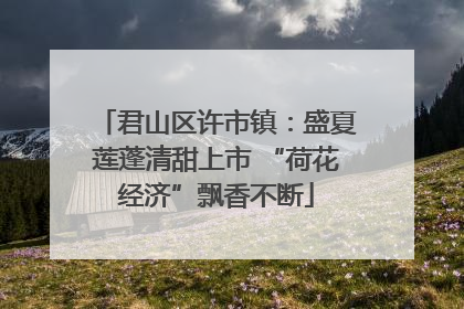 君山区许市镇：盛夏莲蓬清甜上市 “荷花经济”飘香不断