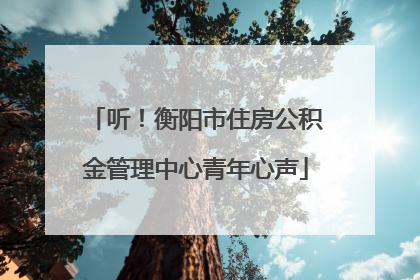 听！衡阳市住房公积金管理中心青年心声