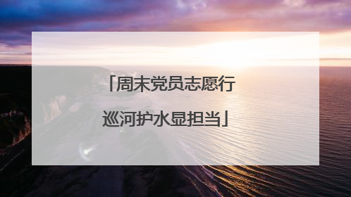 周末党员志愿行 巡河护水显担当
