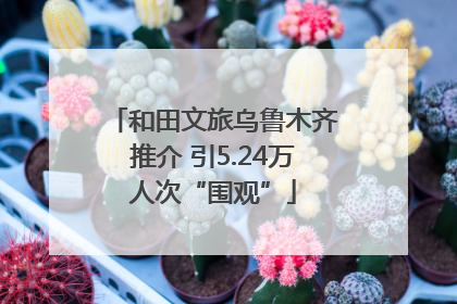 和田文旅乌鲁木齐推介 引5.24万人次“围观”