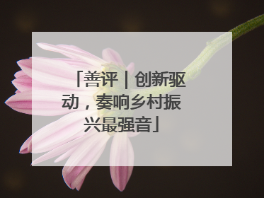 善评｜创新驱动，奏响乡村振兴最强音
