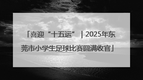 喜迎“十五运”｜2025年东莞市小学生足球比赛圆满收官